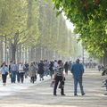20100424 184551
